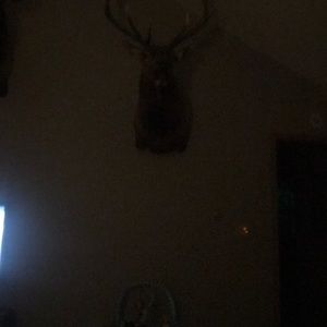 Meet your Posher, Trevor